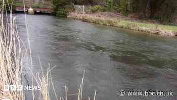 Southern Water admits polluting sensitive stream