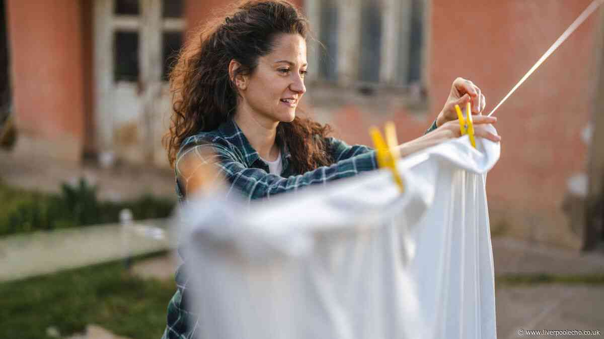 Households urged to stop drying laundry with clothes pegs this summer