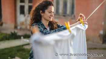Households urged to stop drying laundry with clothes pegs this summer