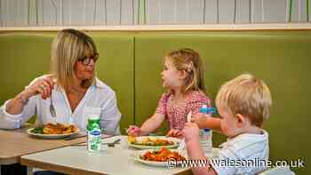 Restaurants and cafes offering free food and huge discounts for kids this summer
