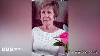 Family pays tribute to woman, 86, fatally hit by car