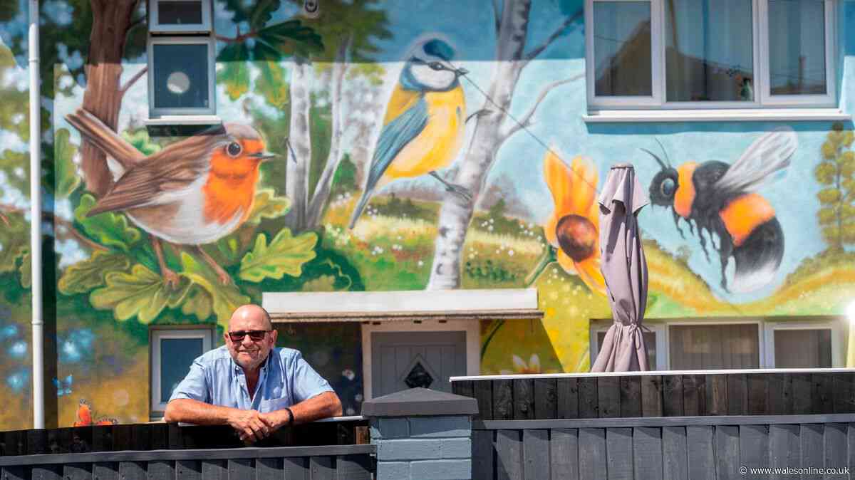 People thought I was mad, the neighbours didn't believe me, but I live in Wales' most colourful house