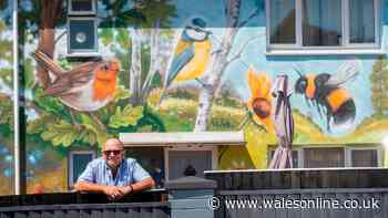 People thought I was mad, the neighbours didn't believe me, but I live in Wales' most colourful house