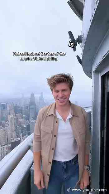 #robertirwin visits the concrete jungle