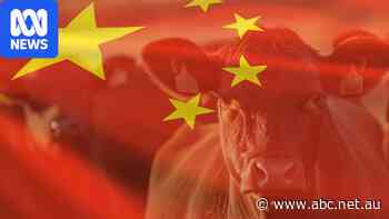 China has stockpiled 'huge quantities' of frozen beef for this moment