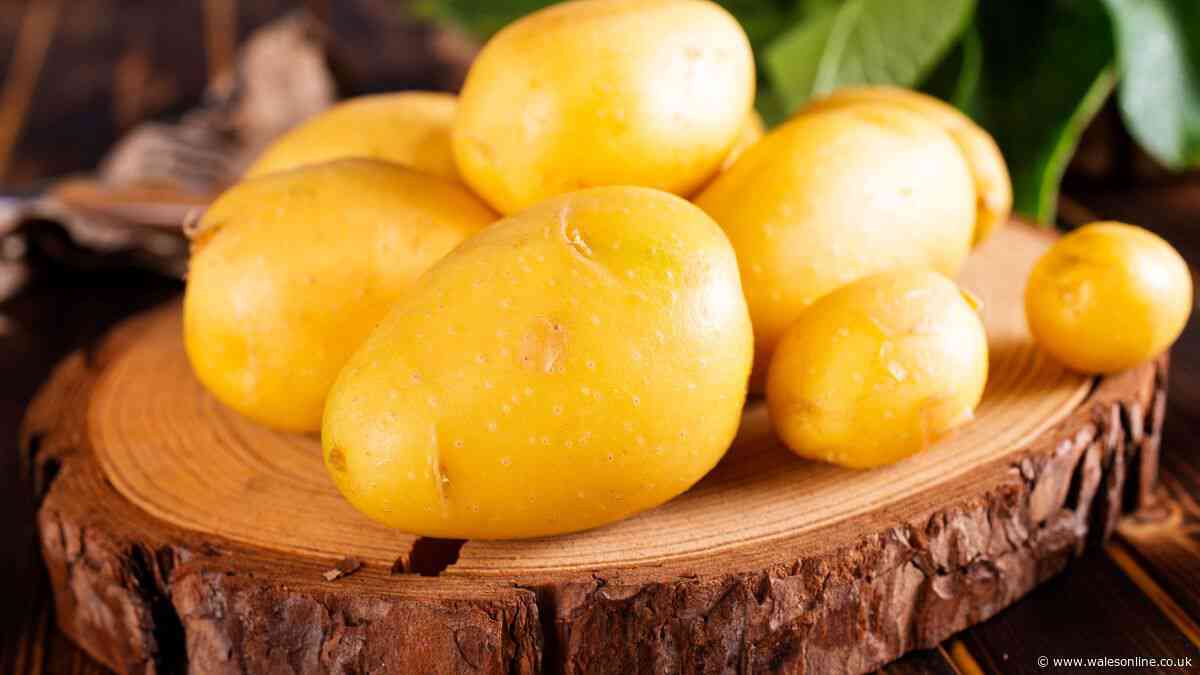 Potatoes will stay fresh and firm for 5 months longer if stored in 1 simple location