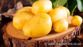 Potatoes will stay fresh and firm for 5 months longer if stored in 1 simple location