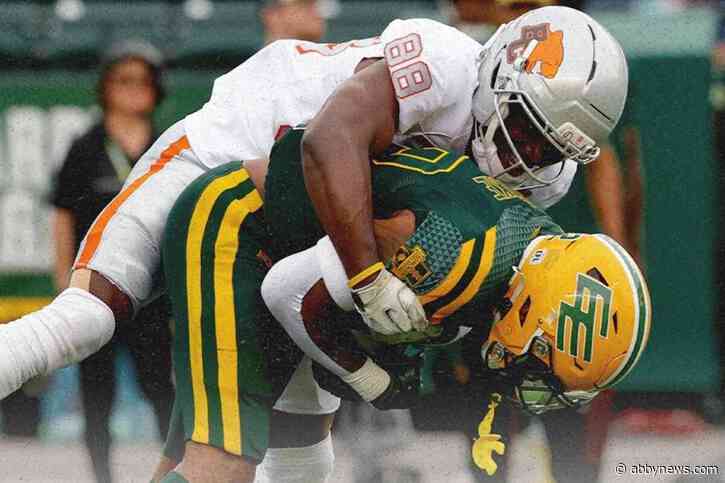 B.C. Lions fall 19-17 to Edmonton Elks, lose QB Rourke to injury