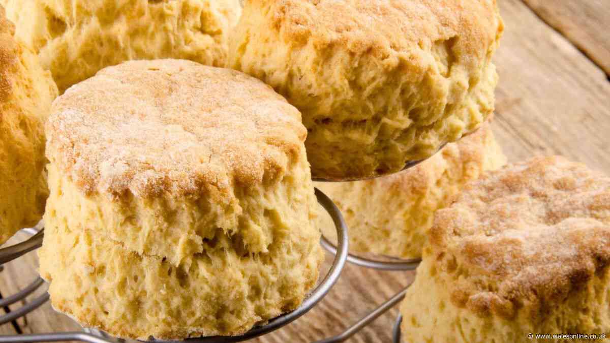 Scones will be tastier and lighter if you ditch butter and eggs for 1 simple ingredient