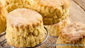 Scones will be tastier and lighter if you ditch butter and eggs for 1 simple ingredient