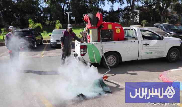 الحشرات تقض مضجع ساكنة البيضاء