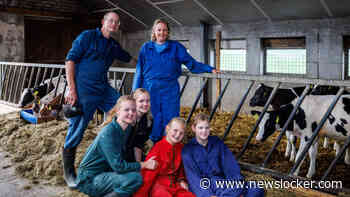 Honderden Friese boeren ’gevangen’ in gebied met dubieus stiktofstempel: ’Als huidige plannen doorgaan, stevenen we af op een drama’