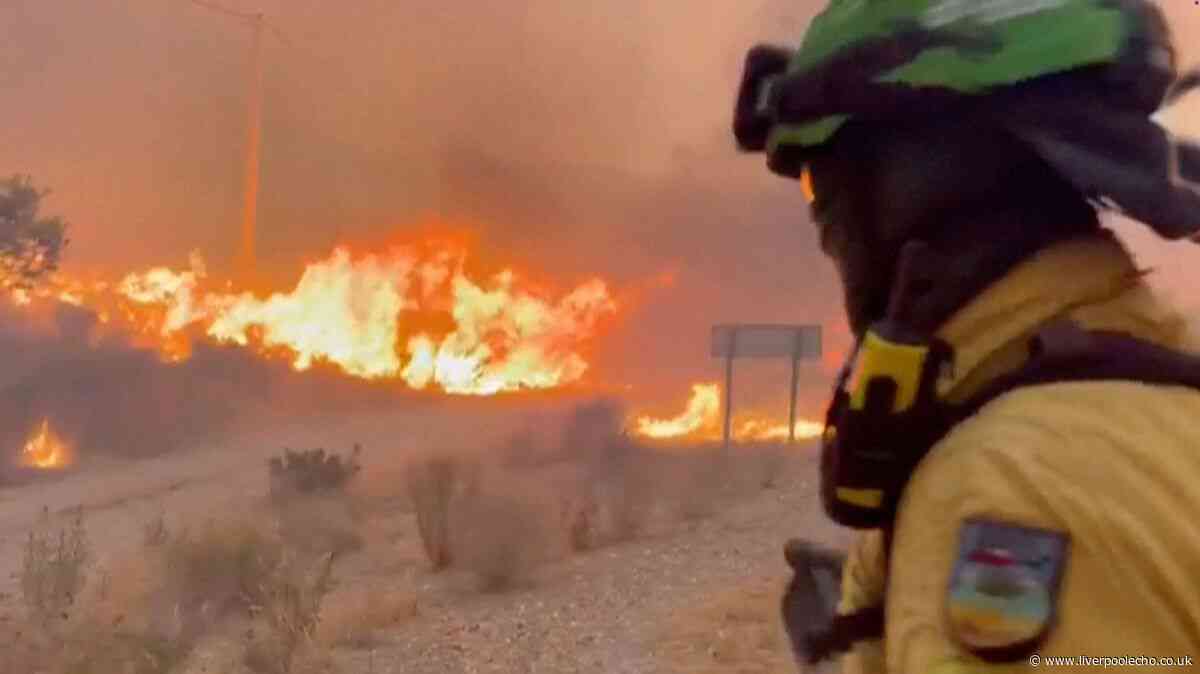 UK traveller rights if holiday to Spain or Turkey is disrupted by wildfires