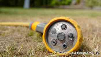 Hosepipe ban confirmed for parts of Wales this weekend with eleven strict rules