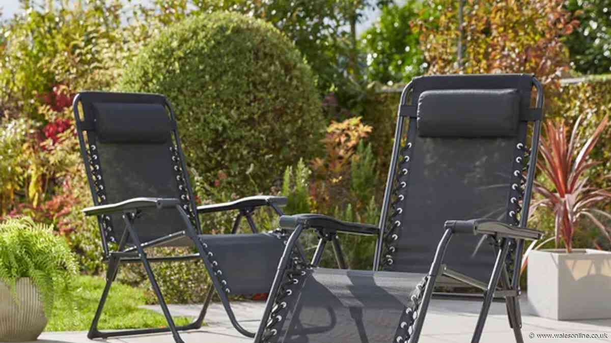Dunelm's £32 'so relaxing' sun lounger is 'perfect seating for gardens'