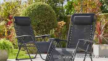 Dunelm's £32 'so relaxing' sun lounger is 'perfect seating for gardens'