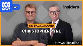 Regulating AI is like catching smoke, warns Christopher Pyne