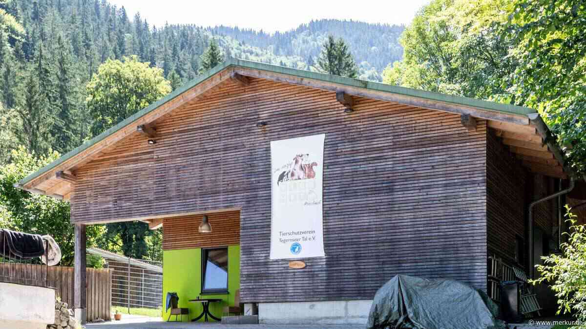 „Hängen in der Luft“: Verein sorgt sich um Tierheimbetrieb am Tegernsee