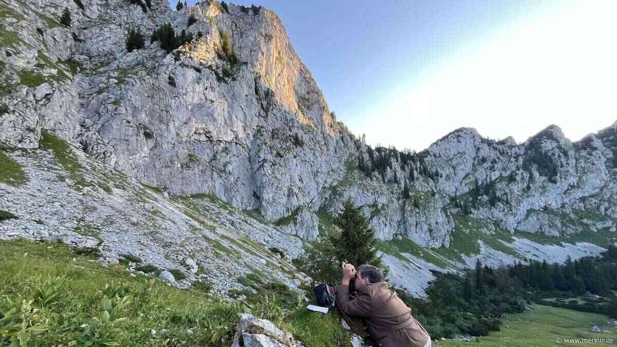 Auf der Suche nach dem Steinwild: Die Schweizer machen sich rar