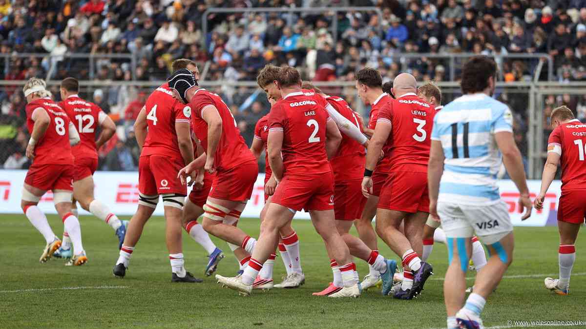 How to watch South Africa v Wales for free - TV channel and kick-off time