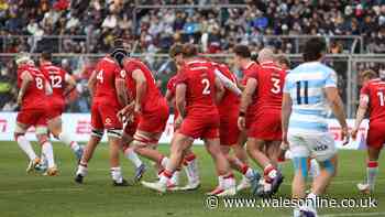 How to watch South Africa v Wales for free - TV channel and kick-off time