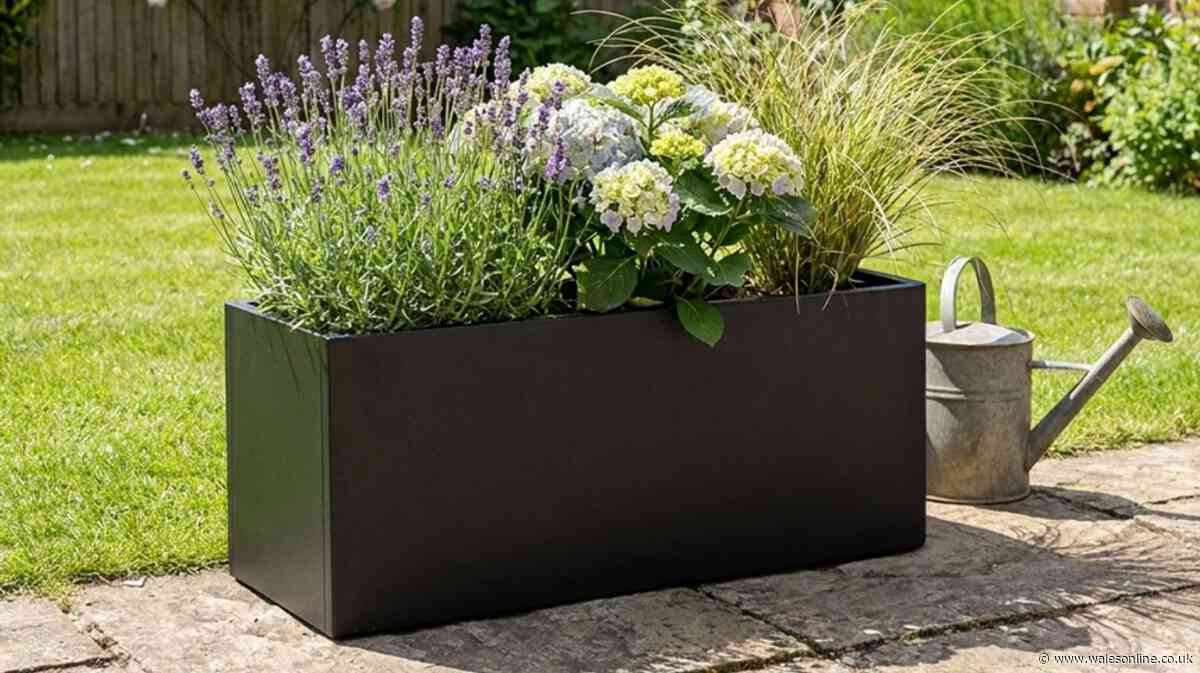 Gardens 'look fabulous' with 'stunning' planter now £90 down from £130 with code