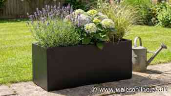 Gardens 'look fabulous' with 'stunning' planter now £90 down from £130 with code
