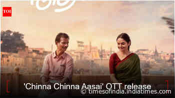 'Chinna Chinna Aasai' OTT release: When and where to watch