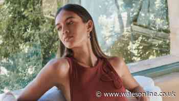 Next £25 dress with 'unique embroidery' is praised as a 'summer essential'
