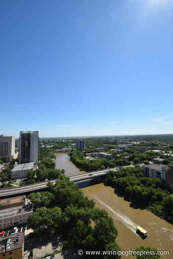 Soar above the city
