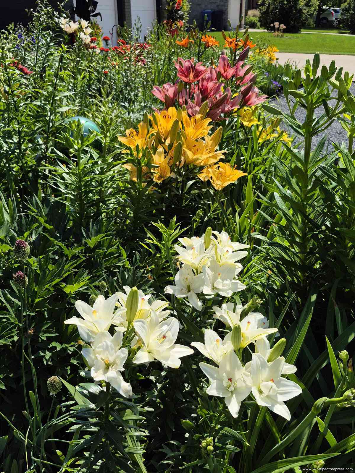 Spacious rural garden makes smooth transition to urban space