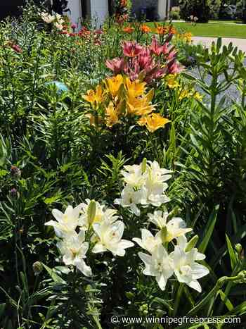Spacious rural garden makes smooth transition to urban space