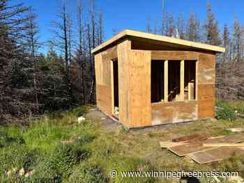 Wood’s wonders a highlight of summer’s DIY delights