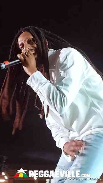 JULIAN MARLEY - HARDER DAYZ in Martinique @ Reggae Therapy Festival 2026 🔥