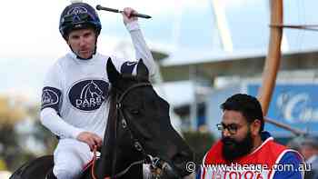 Winter wins light fuse with Big Dance campaign with Midnight Dynamite