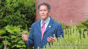 Monty Don names 'only plants that I ever water' as he shares 'perfect gardening solution'