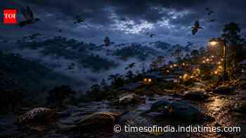The Indian village in the Northeast where birds fall from the sky every year and no one knows why; how to reach here