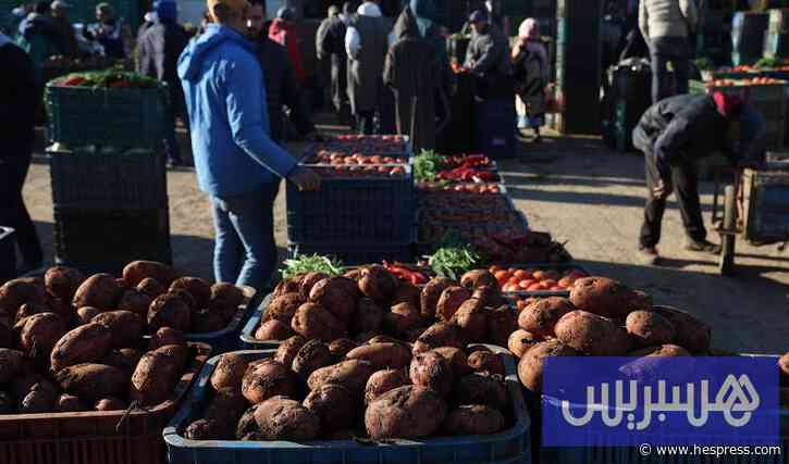 أسواق الجملة تسجل انخفاضا في أسعار الخضر والفواكه مع وفرة الإنتاج