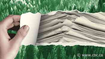 I ran up a massive carbon debt as a teacher. Now I'm planting to make amends