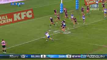 McGregor scores for Dogs