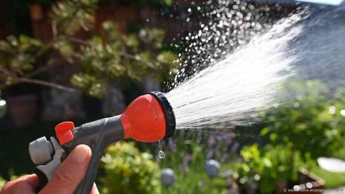 Gießverbot und bis zu 50.000 Euro Strafe – warum Appelle uns nicht weiterbringen
