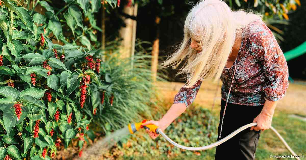 De tuin is kurkdroog, maar er komt regen aan: zo benut je dat optimaal