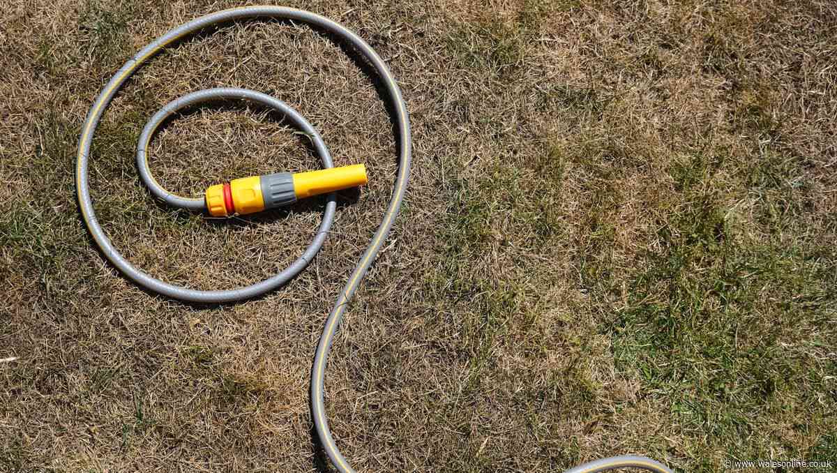 All the rules of hosepipe ban for Wales explained including who will be affected