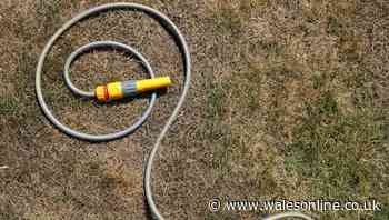 All the rules of hosepipe ban for Wales explained including who will be affected
