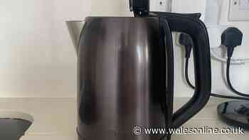 I removed limescale from kettle in seconds when 1 item was added to boiling water