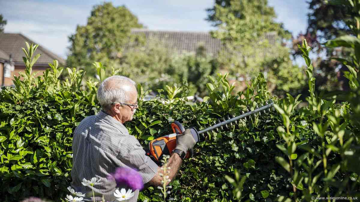 Lawyer explains your legal rights if neighbour demands you cut down shrubs in your garden