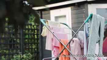 Households warned to avoid drying 3 common items on washing lines