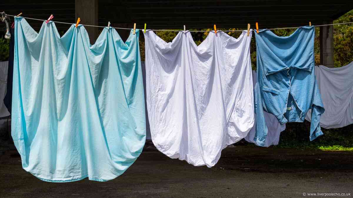 Laundry expert warns to never dry 3 items on outdoor washing lines