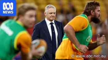 Live: Wallabies desperate to send Schmidt out a winner against Italy