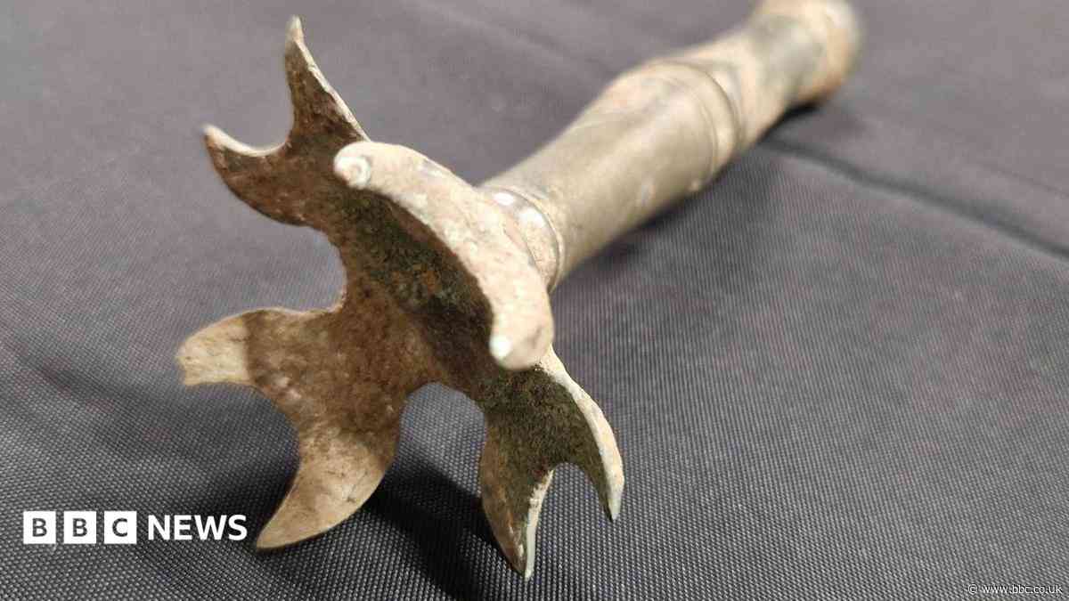 Man finds 'rare' Roman treasures in a field